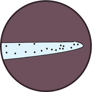 eclipse_surfboard_diamond_nose